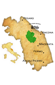 Verdicchio_Italy_Wine_Region