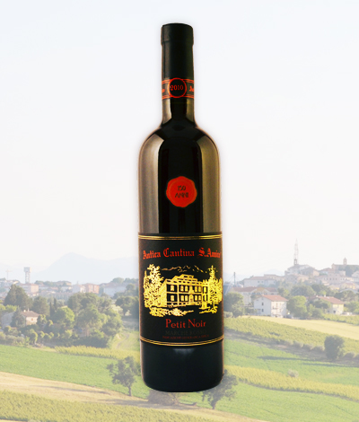 Pinot Nero IGT, Le Marche Italy