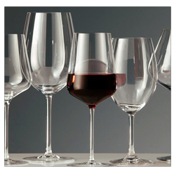 Which type of wine glass is best