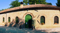 Historic Wine Cellar 