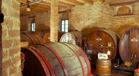Historic Wine Cellar, Le Marche, Italy