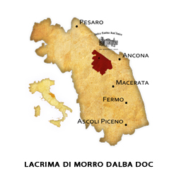 Lacrima-Di-Morro-Dalba-Image-Slider