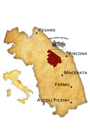 Lacrima Di Morro D'alba Italy Wine Region
