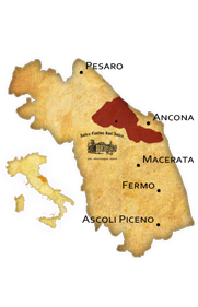 Rosso Piceno Italy Wine Region