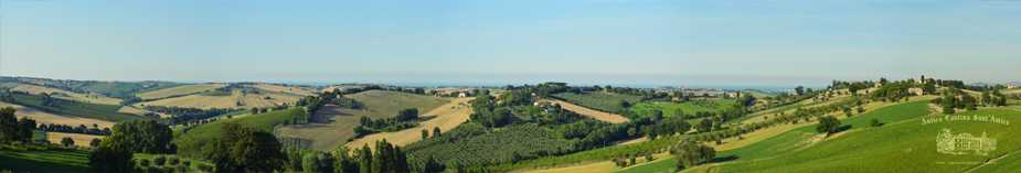 Verdicchio Le Marche Wine Region