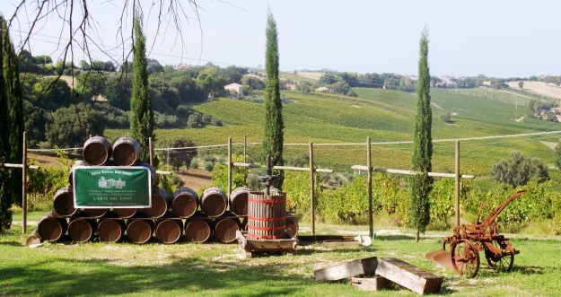 View of winery estate vinyards from the front entrance